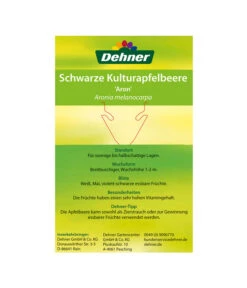 Apfelbeere, Aronia 'Aron' -Biohort Verkaufsgeschäft 00000000 Aronia melanocarpa Aron 2016 2