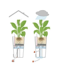 LECHUZA® CLASSICO Color, All-in-One-Set -Biohort Verkaufsgeschäft 001 InOutdoorLechuza