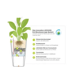 LECHUZA® CLASSICO Color, All-in-One-Set -Biohort Verkaufsgeschäft 002 Funktionen Indoor Outdoor