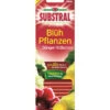 Substral® Blühpflanzen Dünger-Stäbchen, 30 Stk. 1 Substral® Blühpflanzen Dünger-Stäbchen, 30 Stk. -Biohort Verkaufsgeschäft 1517960 WE FS 001 SubstralDuengestaechenBluehpflanzen30Stueck