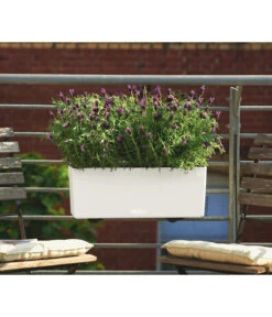 LECHUZA® Kunststoff-Kasten Balconera Color, Rechteckig -Biohort Verkaufsgeschäft 1703263 WE MO 001 BalconeraColor50cmbraun