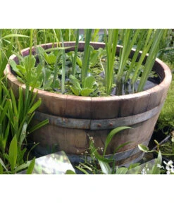 Holz-Weinfasskübel, Rund, Braun 12 Holz-Weinfasskübel, Rund, Braun -Biohort Verkaufsgeschäft 1710680 WE MO 001 WeinfassKuebelEiche