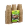 Dehner Anzuchttöpfe Für Pflanzen, 8 Cm 1 Dehner Anzuchttöpfe Für Pflanzen, 8 Cm -Biohort Verkaufsgeschäft 207415 WE FS 002 Anzuchttoepfe48st8cm