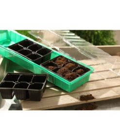 Dehner Zimmergewächshaus Frans, 54 X 15 X 12 Cm -Biohort Verkaufsgeschäft 207456 BildM 001 RombergZimmergewaechshausFransFensterbGewH54X15x12