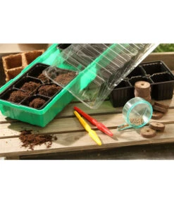 Dehner Zimmergewächshaus Frans, 54 X 15 X 12 Cm -Biohort Verkaufsgeschäft 207456 BildM 002 RombergZimmergewaechshausFransFensterbGewH54X15x12