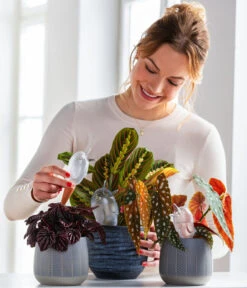 Dehner Keramik-Übertopf Mavie, Rund, Anthrazit -Biohort Verkaufsgeschäft 220527 5356548 WE MO 001 ScheurichWasserspeicherBirdy