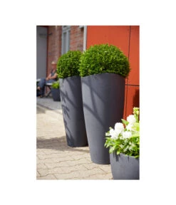 Scheurich Kunststoff-Vase Wave Globe High Slim, Ca. Ø39,5/H80 Cm, Schwarz-granit -Biohort Verkaufsgeschäft 2508687 WE MO 001 ScheurichKunststoffVaserund40cmTopfVaseBlumentopfBlumenvasePflanzgefaessPflanzvase