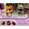 Thompson & Morgan Samen 'Wildblumen-Collection' 1 Thompson & Morgan Samen 'Wildblumen-Collection' -Biohort Verkaufsgeschäft 2531705 WE FS 001 ThompsonMorganWildblumenCollection
