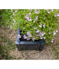 KHW Kunststoff-Pflanzkasten, 43 X 43 X 41 Cm -Biohort Verkaufsgeschäft 2549376 WE DE 006 Kasten43cmanthrazit