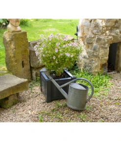 KHW Kunststoff-Pflanzkasten, 43 X 43 X 41 Cm -Biohort Verkaufsgeschäft 2549376 WE MO 003 Kasten43cmanthrazit