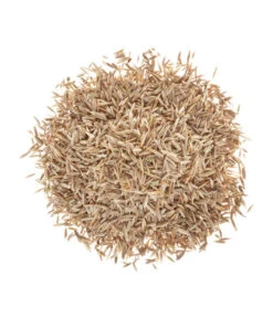 Wolf-Garten Wolf Premium-Rasen Supra 5 Wolf-Garten Wolf Premium-Rasen Supra -Biohort Verkaufsgeschäft 2682078 BildD 001 RasenSaatgutWolfPremiumRasenSupraPremiumRasenSupra25Qm