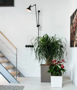 LECHUZA® CUBE, All-in-One Set -Biohort Verkaufsgeschäft 3179850 3179637 WE MO 008 CubePremiumWeissTaupe