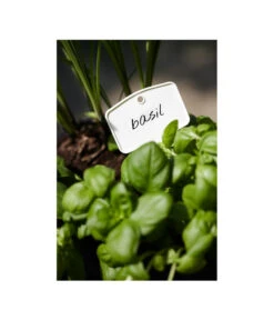 Elho Pflanz-Stift, 5 Stück -Biohort Verkaufsgeschäft 3266806 MO FS 001 PflanzstiftMweissElhoEtikett