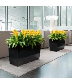 LECHUZA® CARARO, All-in-One-Set, 43 X 30 X 75 Cm 7 LECHUZA® CARARO, All-in-One-Set, 43 X 30 X 75 Cm -Biohort Verkaufsgeschäft 3409273 BildM 001 CararoSchwarzLechuza