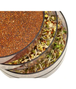 Dehner Sprossenhaus, 4 Schalen -Biohort Verkaufsgeschäft 3677101 WE MO 002 DehnerSprossenhausKeimsprossen