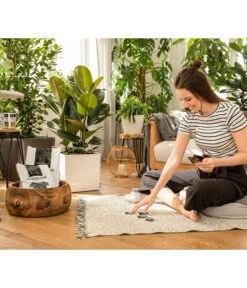 LECHUZA® PON Pflanzensubstrat -Biohort Verkaufsgeschäft 3679685 4191144 4191342 3634003 WE MO 004 LechuzaPONNeu n