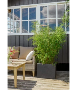 Dehner Kunststoff-Blumenkübel Palermo, Anthrazit -Biohort Verkaufsgeschäft 3728110 3728151 3940756 WE MO 009 KunststoffBlumenkuebelKubusanthrazitBlumentopf