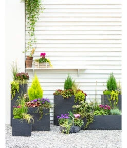 Dehner Kunststoff-Raumtrenner Palermo, Rechteckig, Anthrazit, Ca. B60/H60/T26 Cm -Biohort Verkaufsgeschäft 3728110 3940764 3693611 WE MO 001 KunststoffPflanzkastenKubus 1