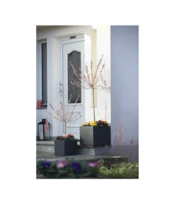 Dehner Kunststoff-Blumenkübel Palermo, Anthrazit -Biohort Verkaufsgeschäft 3728110 WE MO 001 KunststoffTopfKubusAnthrazitBlumenkuebelBlumentopfKubus