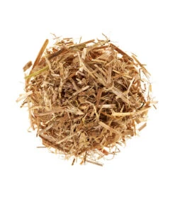 Pilzmännchen Bio Pilzzuchtset Austernpilz 6 Pilzmännchen Bio Pilzzuchtset Austernpilz -Biohort Verkaufsgeschäft 3940285 BildD 001 PilzmaennchenBioHomePilzzuchtsetAusternpilzPilzbrutAusternpilzSet