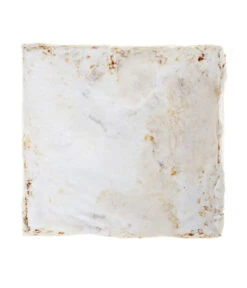 Pilzmännchen Bio Pilzzuchtset Austernpilz 7 Pilzmännchen Bio Pilzzuchtset Austernpilz -Biohort Verkaufsgeschäft 3940285 BildD 002 PilzmaennchenBioHomePilzzuchtsetAusternpilzPilzbrutAusternpilzSet