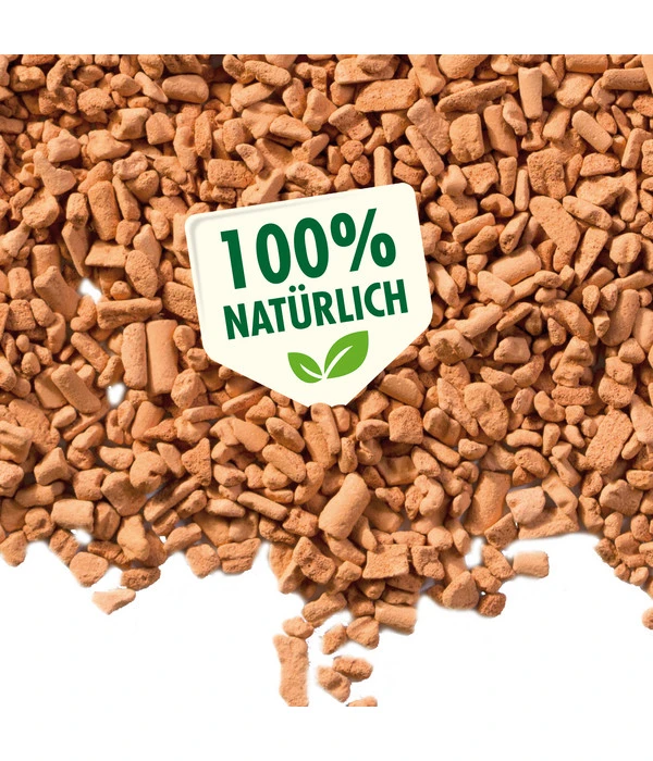 Seramis Pflanz-Granulat Für Zimmerpflanzen 4 Seramis Pflanz-Granulat Für Zimmerpflanzen – Bild 2