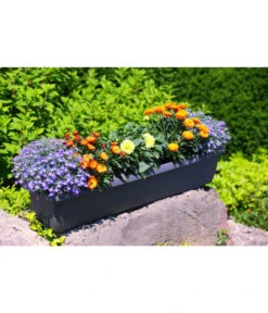 Geli Kunststoff-Blumenkasten Aqua Andalucia -Biohort Verkaufsgeschäft 3955739 WE MO 001 GeliKunststoffBlumenkastenAquaAndaluciamitLangzeitbewaesseungssystem