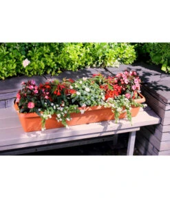 Geli Kunststoff-Blumenkasten Aqua Andalucia -Biohort Verkaufsgeschäft 3955739 WE MO 002 GeliKunststoffBlumenkastenAquaAndaluciamitLangzeitbewaesseungssystem