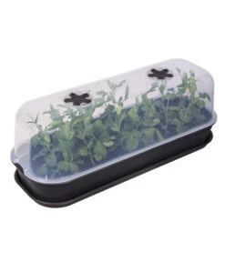 Biohort Verkaufsgeschäft -Biohort Verkaufsgeschäft 4026704 WE FS 002 ElhoAnzuchthaubeAnzuchthausTransparent