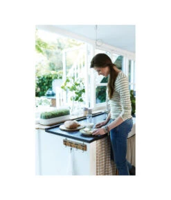 Elho Anzuchthaube L -Biohort Verkaufsgeschäft 4026704 WE MO 001 AnzuchthausLTransparentElho