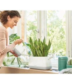 LECHUZA® YULA Gießkanne, 1,7 L -Biohort Verkaufsgeschäft 4065934 PR MO 001 YulaPflanztascheWeissGrau 4065884