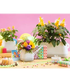 LECHUZA® YULA Gießkanne, 1,7 L -Biohort Verkaufsgeschäft 4065934 PR MO 002 4065884 4065850 YulaSetWeissGrau