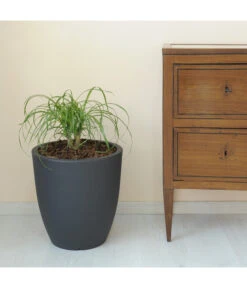 Farmet Kunststoff-Topf-Set Orione Alto, Rund, Anthrazit, 2-teilig -Biohort Verkaufsgeschäft 4109195 WE DE 002 ORIONEALTOHoherRunderPflanzkuebelDurchmesser50cm50cmhochDUNKELANTHRAZIT