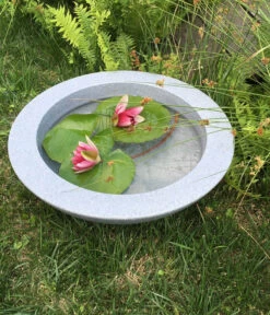 Roto Kunststoff-Pflanzschale Ballett, Rund, Hellgrau, Ca. Ø60/H18 Cm -Biohort Verkaufsgeschäft 4142485 WE MO 002 RotoSchaleBallett600