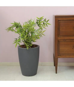 Farmet Kunststoff-Topf-Set Hydra, Konisch, Anthrazit, 2-teilig -Biohort Verkaufsgeschäft 4183653 WE DE 002 HYDRARunderPflanzkuebelDurchmesser36cm50cmhochDUNKELANTHRAZIT