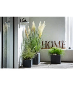 Dehner Kunststoff-Blumenkübel Palermo, Anthrazit -Biohort Verkaufsgeschäft 4292165 WE MO 001 FerrumMetallBuchstabenSetHOMEcaB30H35T14cm