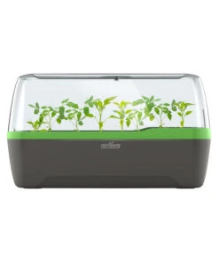 Romberg BoQube Gewächshaus -Biohort Verkaufsgeschäft 4299970 WE FS 005 RombergGewaechshausZimmergewaechshausAnzucht