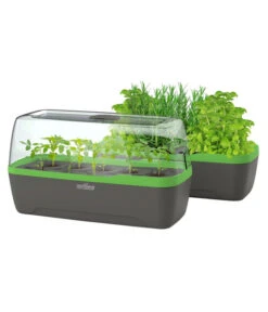 Romberg BoQube Gewächshaus -Biohort Verkaufsgeschäft 4299970 WE FS 006 BoQubeGewaechshausZimmergewaechshaus