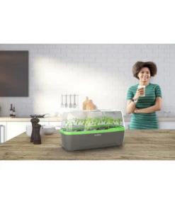 Romberg BoQube Gewächshaus -Biohort Verkaufsgeschäft 4299970 WE MO 001 RombergGewaechshausZimmergewaechshausAnzucht