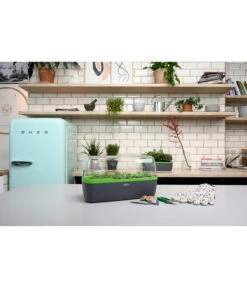 Romberg BoQube Gewächshaus -Biohort Verkaufsgeschäft 4299970 WE MO 002 BoQubeGewaechshausZimmergewaechshaus