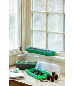 Romberg BoQube Gewächshaus -Biohort Verkaufsgeschäft 4299970 WE MO 004 BoQubeZimmergewaechshaus 1