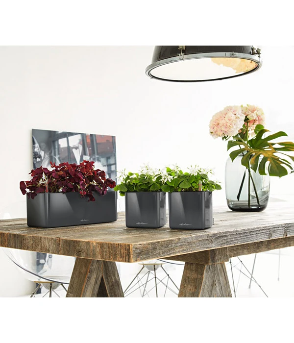 LECHUZA® CUBE Glossy, All-in-One Set 5 LECHUZA® CUBE Glossy, All-in-One Set – Bild 3