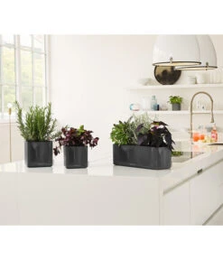 LECHUZA® CUBE Glossy, All-in-One Set 16 LECHUZA® CUBE Glossy, All-in-One Set -Biohort Verkaufsgeschäft 4310470 PR MO 003 4310512CubeGlossyAnthrazit