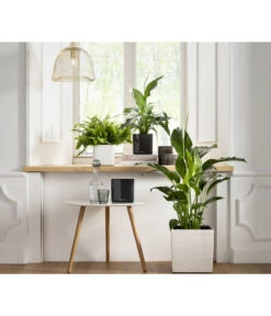 LECHUZA® CUBE Glossy, All-in-One Set 13 LECHUZA® CUBE Glossy, All-in-One Set -Biohort Verkaufsgeschäft 4310496 PR MO 001 CubeGlossyAnthrazitWeissCubePremium