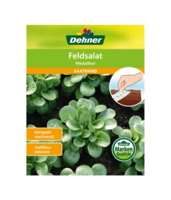 Dehner Samen-Set Easy Going -Biohort Verkaufsgeschäft 4322590 WE FS 005 DehnerSamenSaatgutSaemereienSetEasyGoing