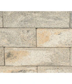 Diephaus Mauerstein Nomos Medio, Ca. B42/H12,5/T21 Cm 9 Diephaus Mauerstein Nomos Medio, Ca. B42/H12,5/T21 Cm -Biohort Verkaufsgeschäft 4382370 WE DE 001 DiephausNOMOSMEDIOMUSCHELKALK