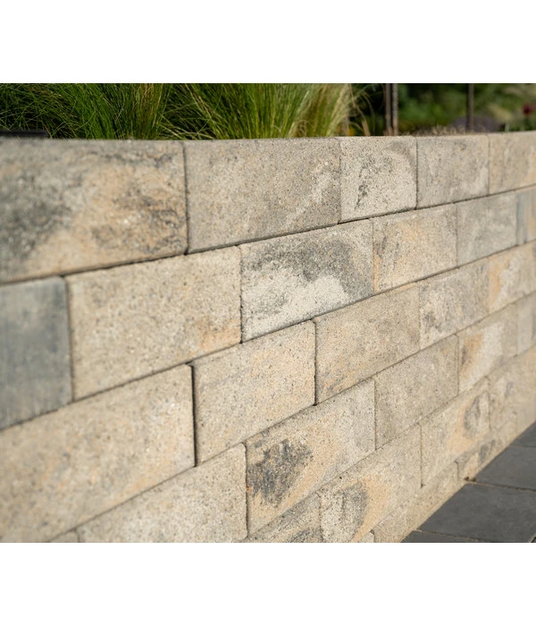 Diephaus Mauerstein Nomos Medio, Ca. B42/H12,5/T21 Cm 4 Diephaus Mauerstein Nomos Medio, Ca. B42/H12,5/T21 Cm – Bild 2