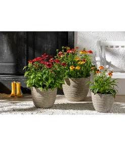 Dehner Leichtbeton-Topf Prunus, Graubraun -Biohort Verkaufsgeschäft 4440772 WE MO 001 DehnerLeichtbetonTopfPrunus