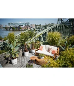 Elho Kunststoff-Topf Greenville -Biohort Verkaufsgeschäft 4474318 4474342 WE MO 003 elhoKunststoffTopfGreenville