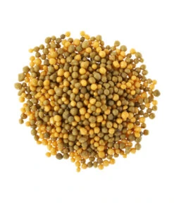 Substral® Osmocote® Buchs & Hecken Dünger, 1,5 Kg -Biohort Verkaufsgeschäft 5170147 BildD 001 SubstralOsmocoteDuengerBuchsUndHeckenBuchsHeckenduengerOsmoc